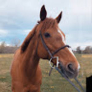 Meet your Posher, Ariana